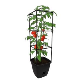 Harvest Bloom Garden Planter with Self-Watering System and Adjustable Trellis for Your Outdoor Balcony, Patio, or Backyard Garden
